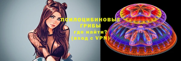 дурь Надым