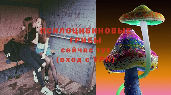 дурь Надым