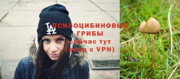 соль ск Навашино