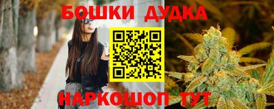 шишки Кингисепп