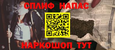 шишки Кингисепп