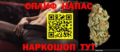 шишки Кингисепп