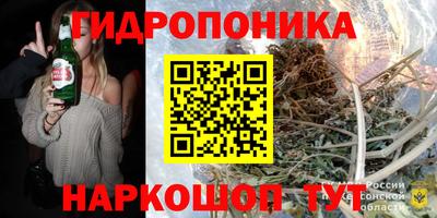 шишки Кингисепп