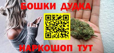шишки Кингисепп