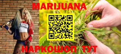 шишки Кингисепп