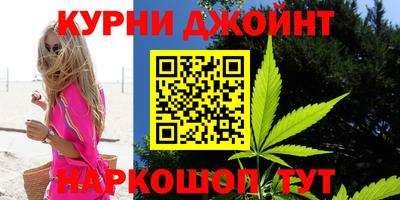 шишки Кингисепп