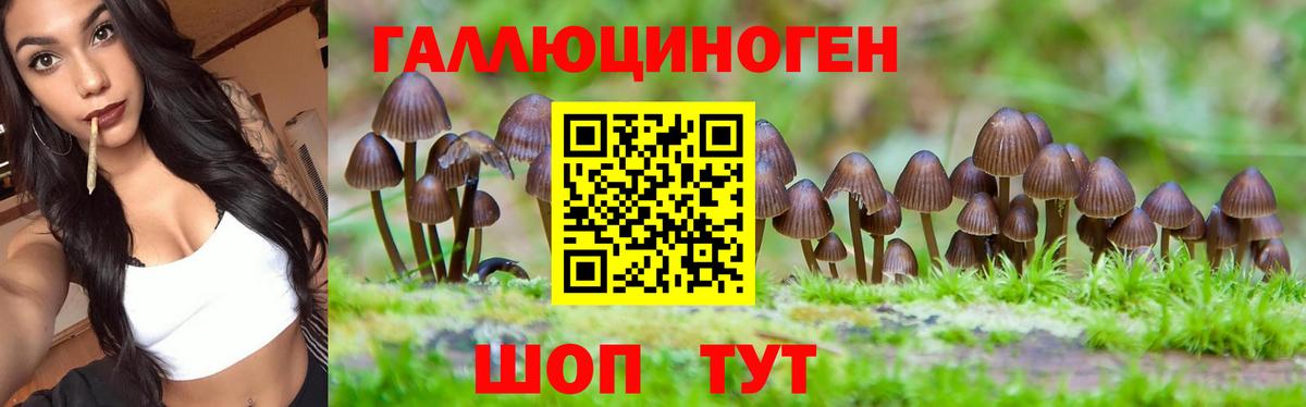 Ставрополь  Галлюциногенные грибы MAGIC MUSHROOMS  Вход с VPN  Псилоцибиновые грибы мицелий 