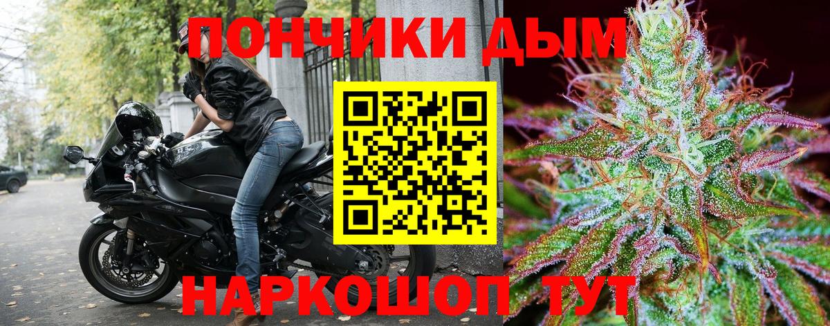 Бошки Шишки сатива Ставрополь